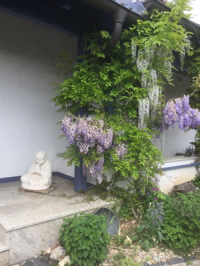 Gaensebluemchen 1 Apartment Daisy 1 Walsdorf  Exterior photo